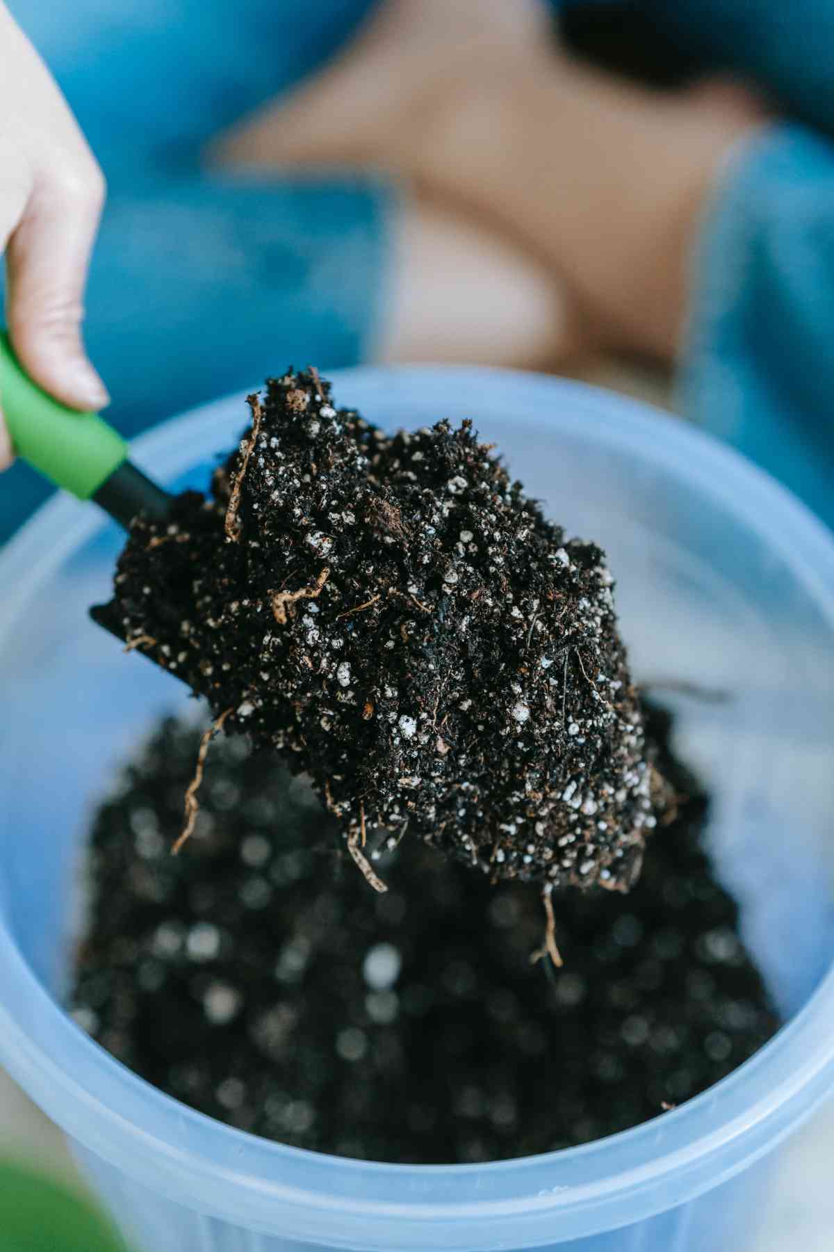Can I Put Old Potting Soil in My Compost? Homestead Gardener