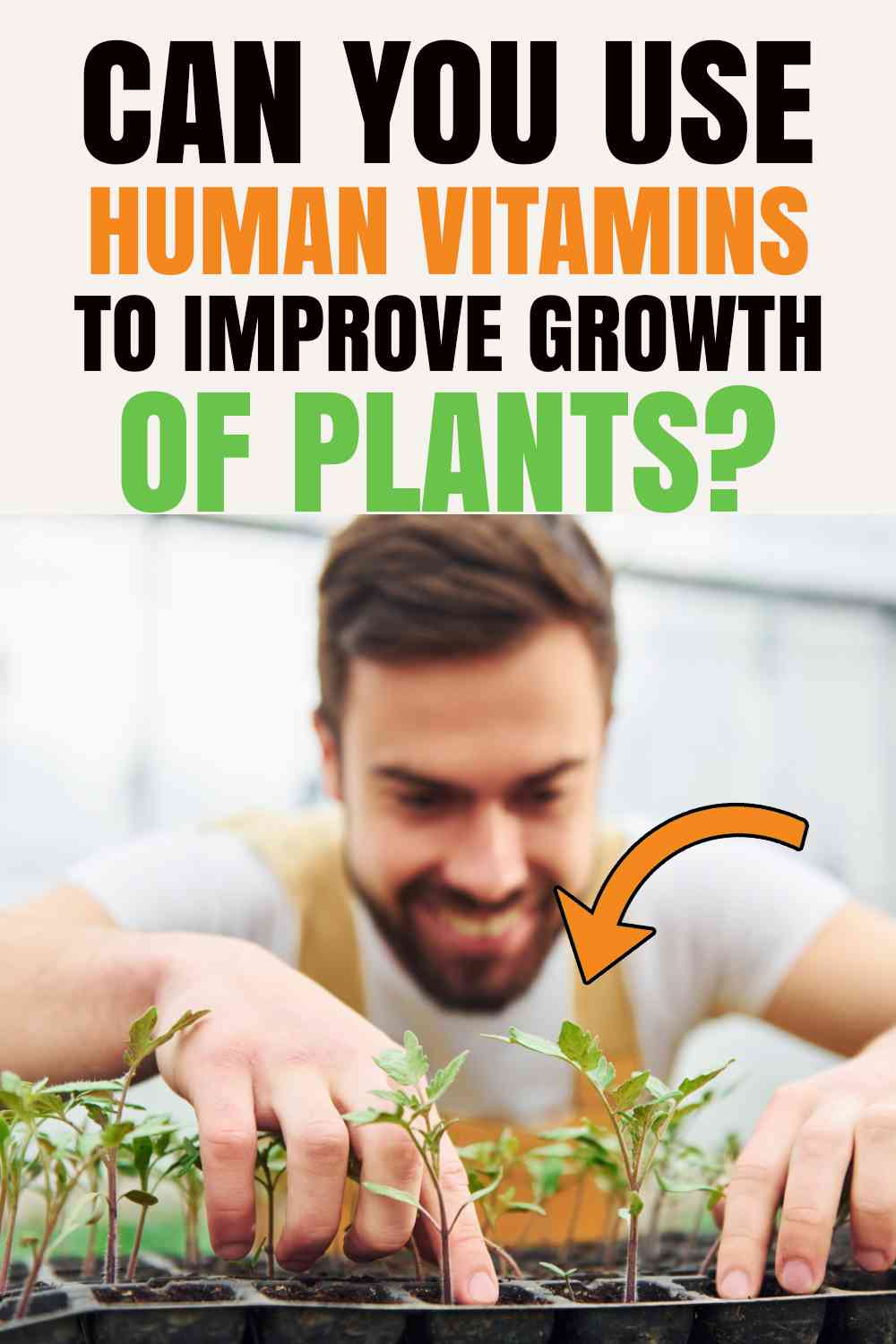 Can You Use Human Vitamins for Plants? Are Expired Multivitamins Safe