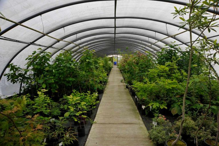 how to keep greenhouse warm